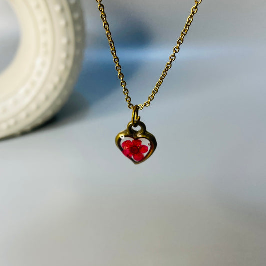 Heart flora
