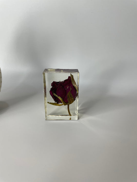 Paper weight